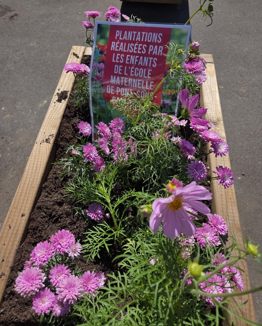 Atelier plantations par les élèves de Pont-sous-Gallardon