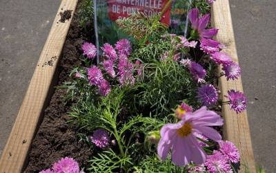 Atelier plantations par les élèves de Pont-sous-Gallardon